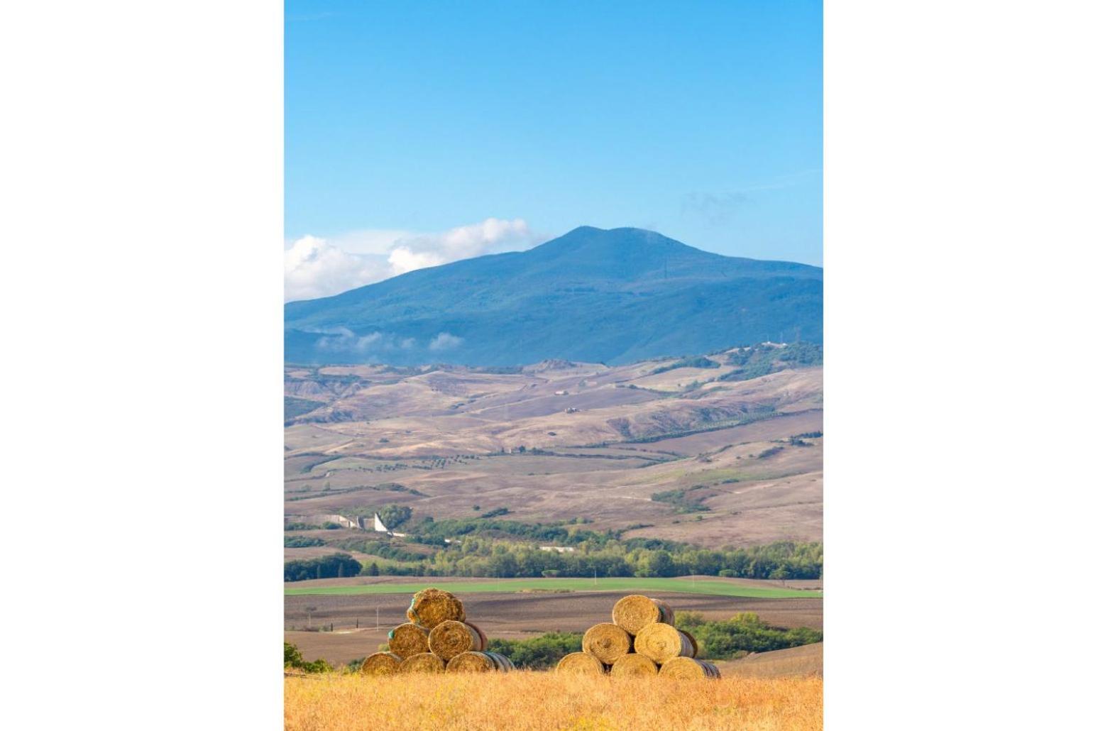 Villa Podere Belvedere 锡耶纳 外观 照片